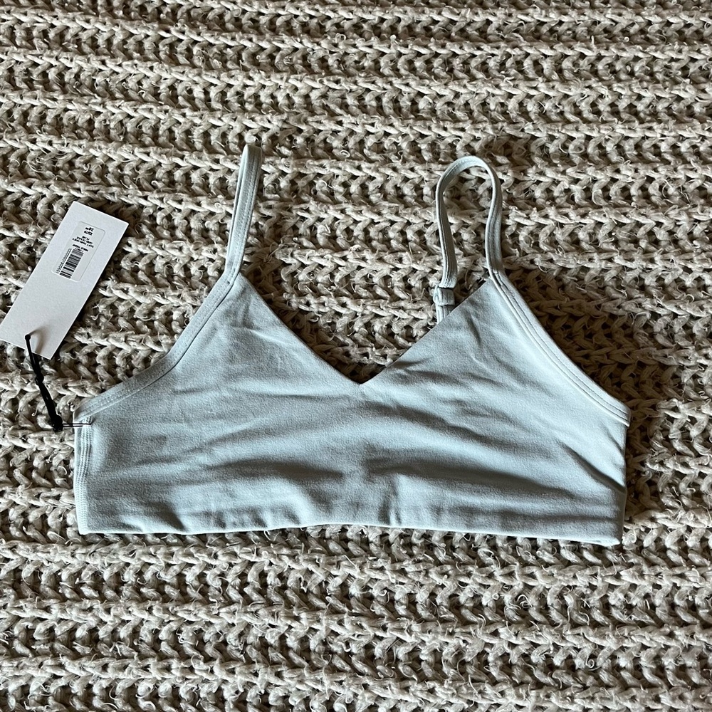 Aritzia Soft Gray / Blue Sports Bra
